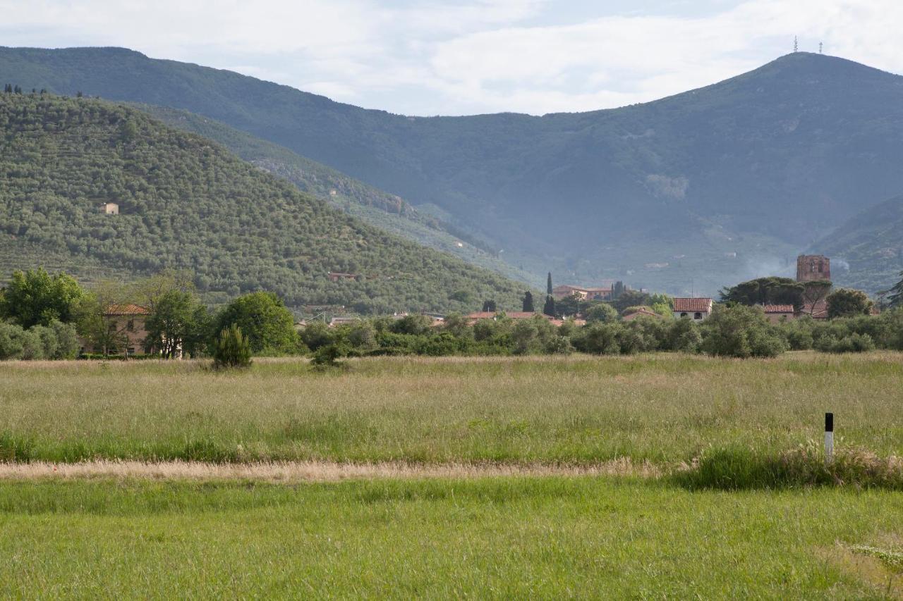 Agriturismo Villa Rosselmini Calci Exterior photo